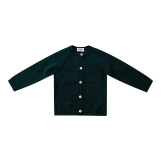 Alenza, Gilet col rond 100% laine mérinos, Émeraude